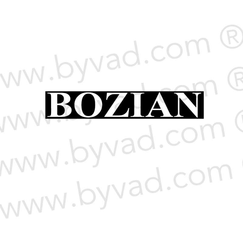 Sticker Bozian Renault 5