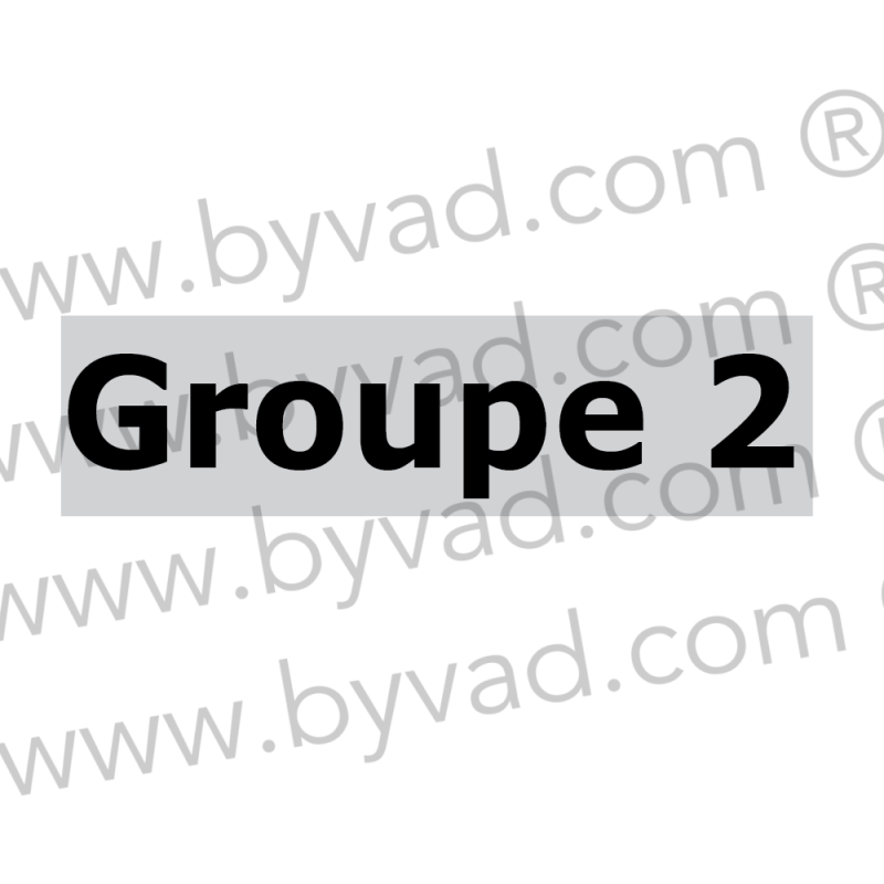 Sticker Groupe 2 Renault 5