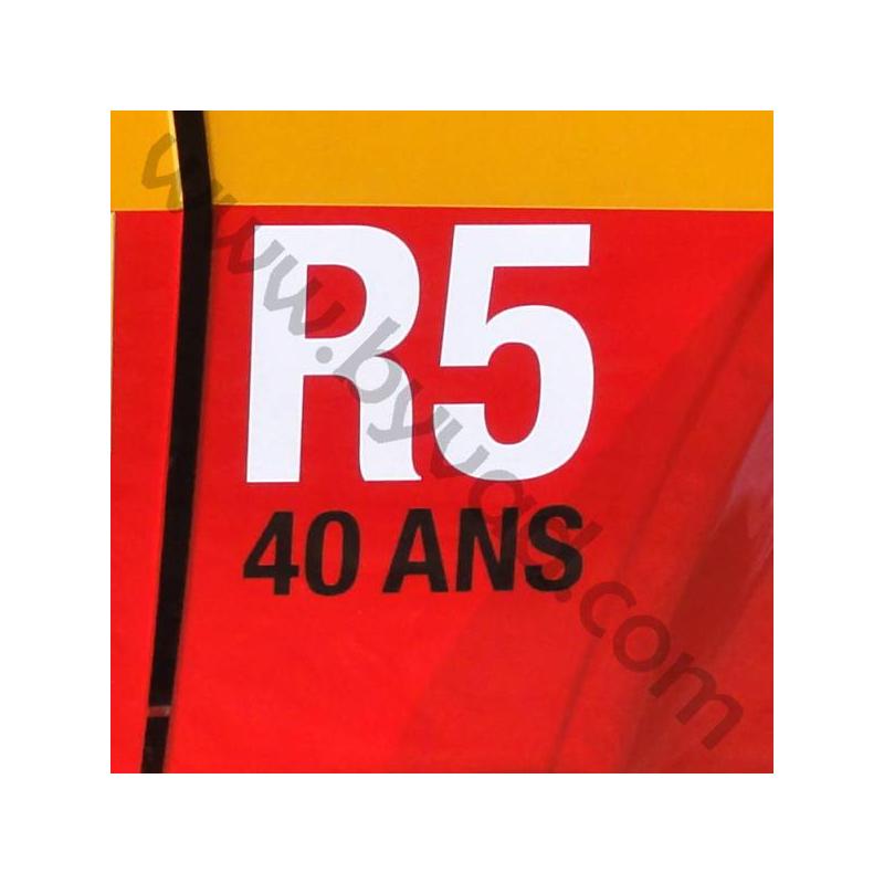 Stickers R5 anniversaire