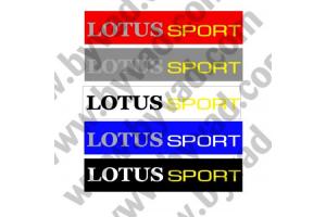 Cache plaque immatriculation LOTUS SPORT