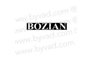 Autocollant BOZIAN Renault 5