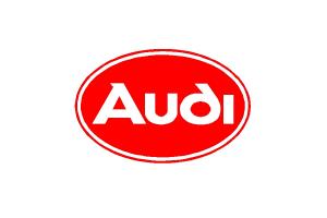 Logo Audi 55 cm