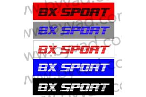 Cache plaque immatriculation BX Sport