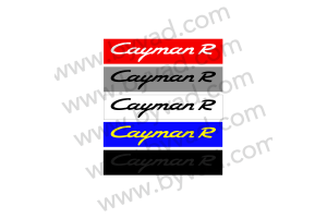 Cache plaque immatriculation PORSCHE CAYMAN R