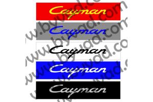 Cache plaque immatriculation PORSCHE Cayman