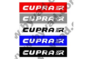 Cache plaque immatriculation Seat Cupra R