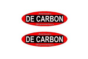 2 Stickers De Carbon Oval