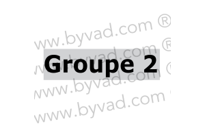 Autocollant Groupe 2 Renault 5