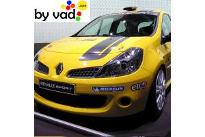 Bandes de toit Clio Cup