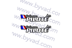 Lettrage Pilote ou  Copilote avec rebord 2