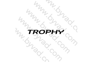 Sticker de lame TROPHY Mégane 4