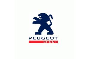 Sticker de toit Peugeot Sport