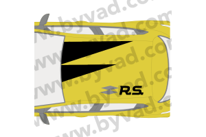 Sticker de Toit style RS18