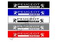 Bandeau pare soleil Peugeot Sport